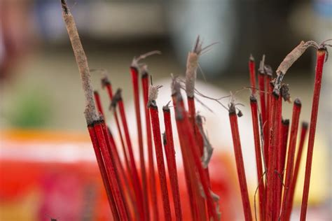 農曆七月算命|鬼月應做祭祖？命理師：農曆七月祭祖增好運，人生路。